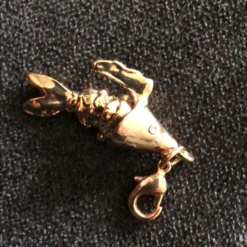 Gold Fish Clasp Charm and Squid Charm - Clasp Hooks - GOLD - 2 CHARMS